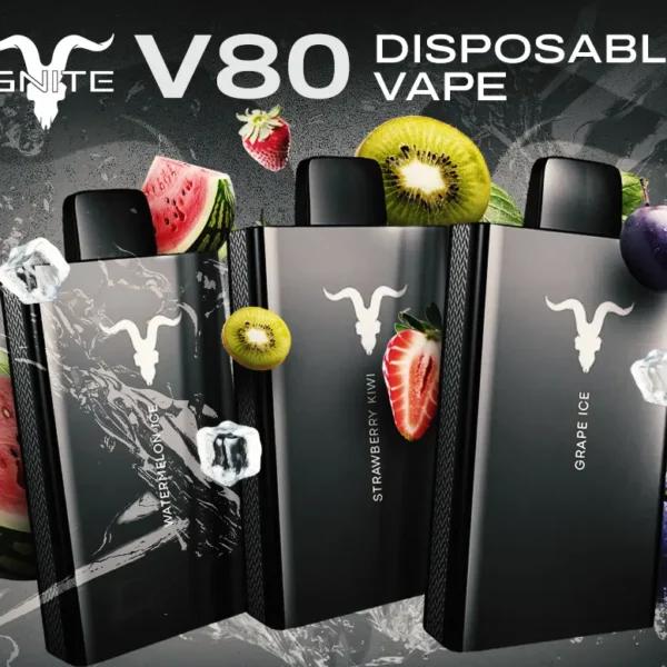 IGNITE – V80 Disposable Vape *8000puffs*
